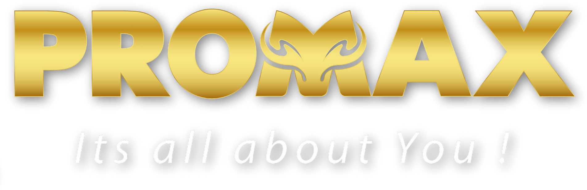 Promax Trading logo